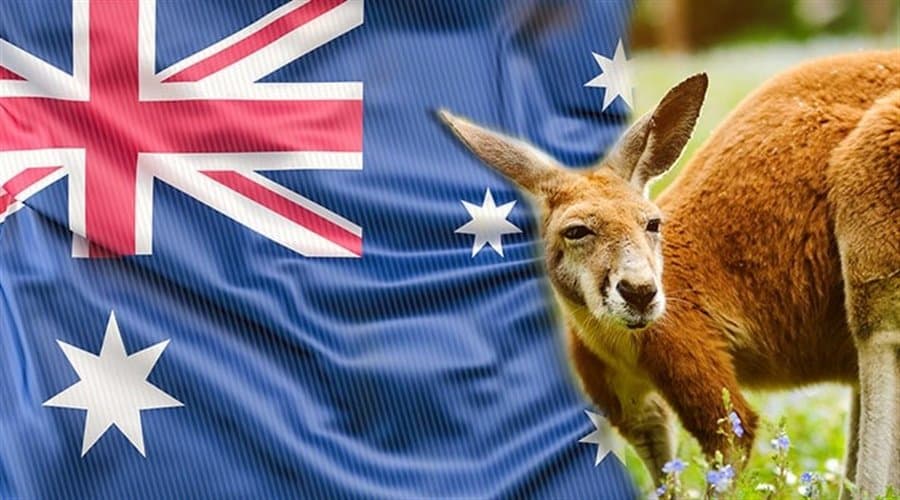 aussie