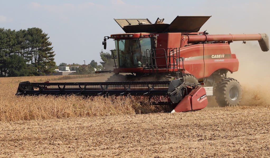 soybeans rally